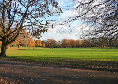 PHOTO  LONDON MAYOW PARK (6) ON A VERY MILD AND SUNNY NOVEMBER DAY. 2014