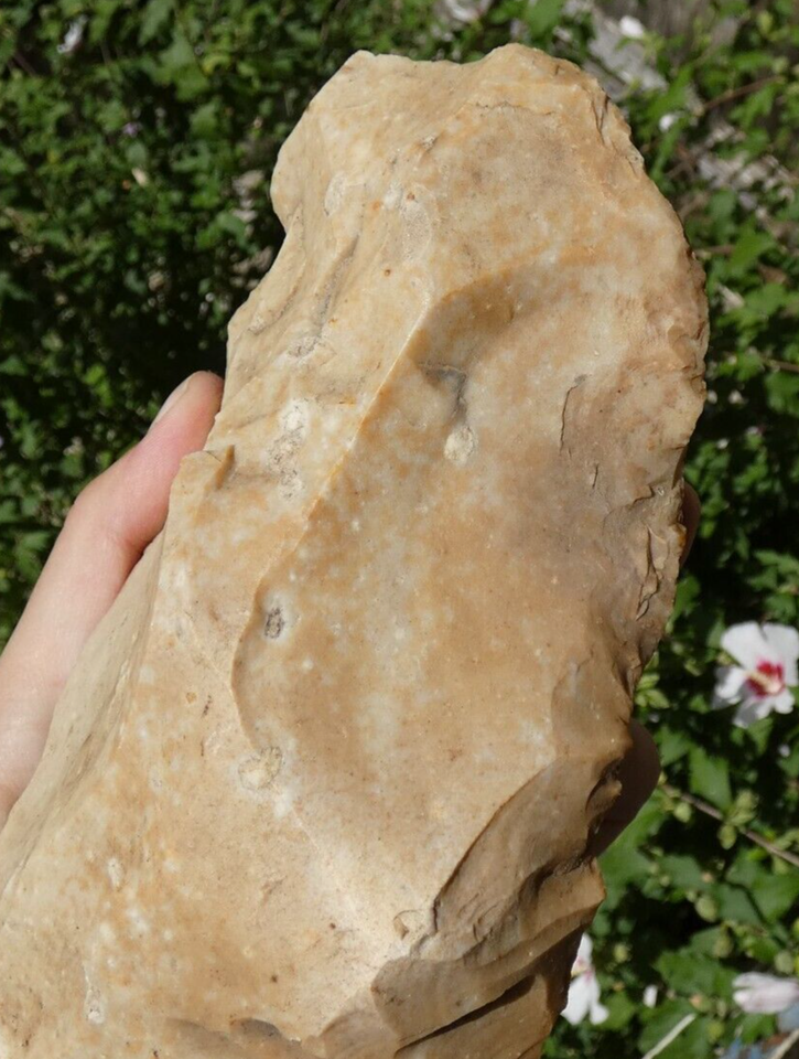 Beau Nucléus Livre de Beurre Néolithique 16cm Calvados Marc Allais hache outil eBay