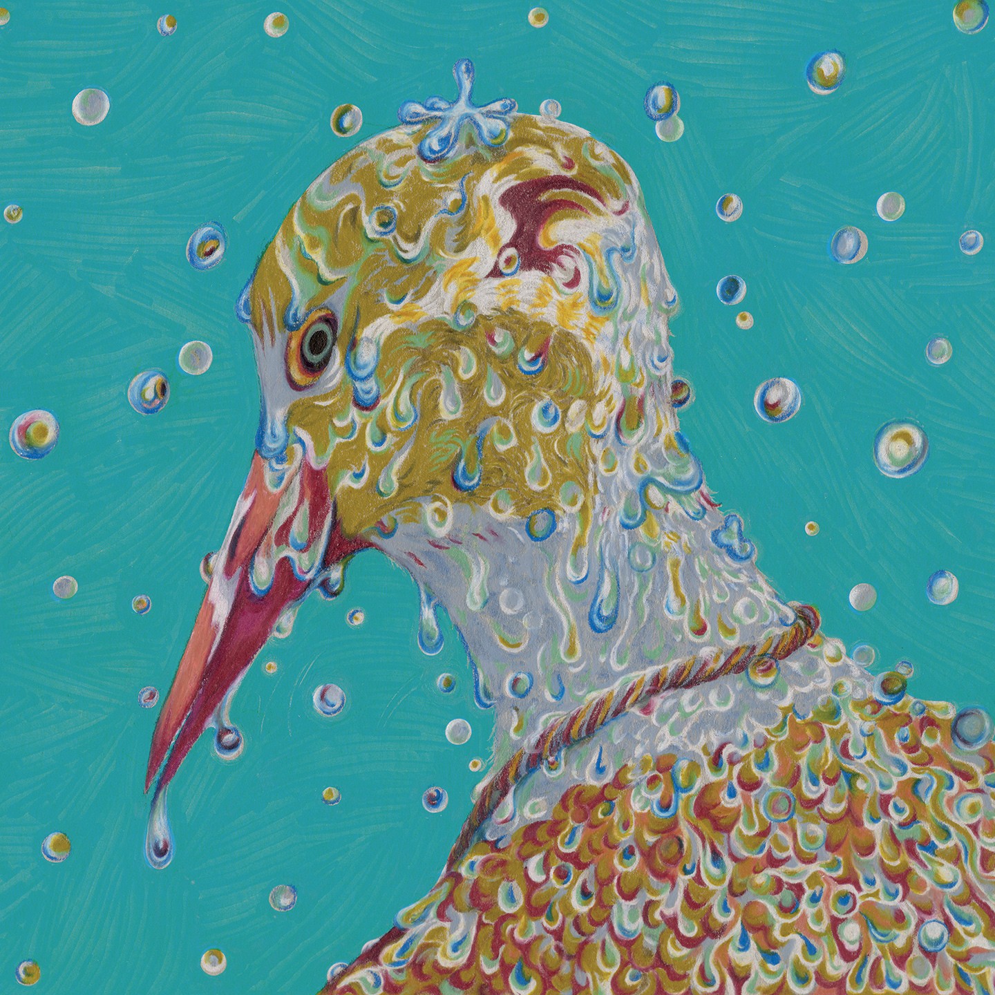 Альбом Chartreuse Morning Ritual (CD)