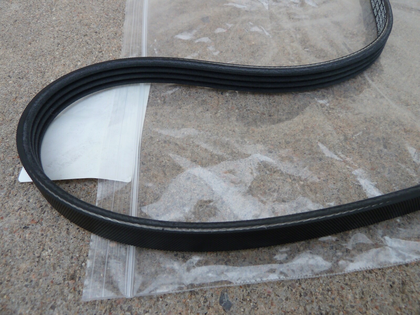 NEW Aston Martin Mercedes Feed Drive Belt Engine Serpentine 