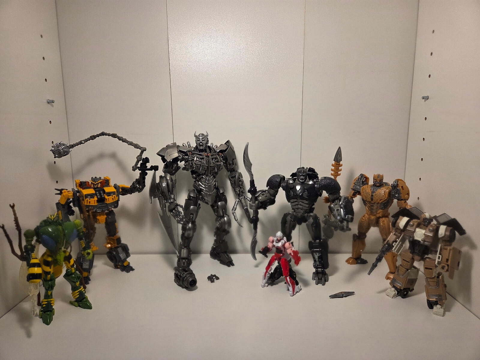 Picture 1 of 17