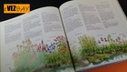 Foto 6 di 7