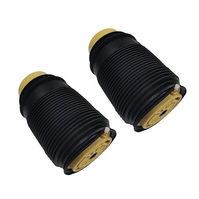 2X Hinten Luftfederung for Mercedes E-Klasse W212 S212 A2123204025 A2123203925