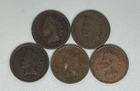 1895 1896 1901 1906 1907 Indian Head Cent Lot of 5