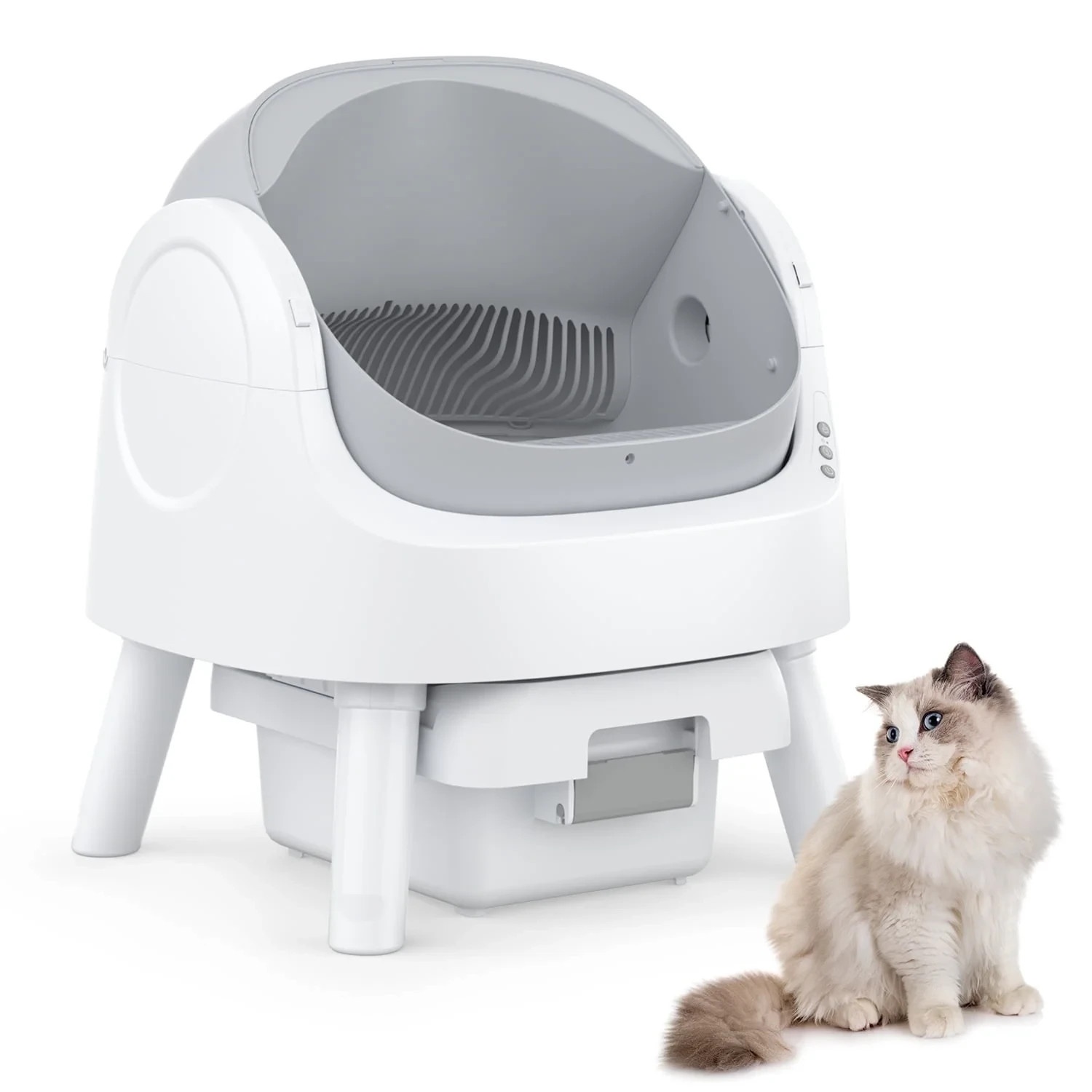 For Multiple Cats With Trash Bags And  Mat
