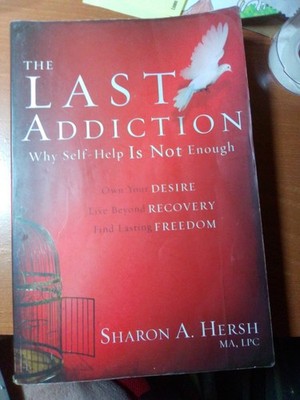 Last Addiction : Why Self Help Is Not Enough: Own Your Desire, Live Beyond Re...