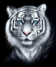 Queen Size White Tiger Blue Eyes Black Fantasy Super Soft Plush Blanket Faux Fur