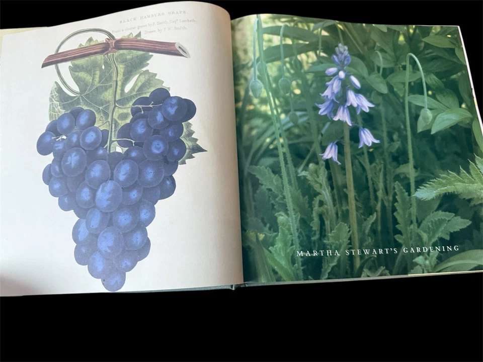 Martha Stewart's Gardening Month by Month by Martha Stewart 1st Edition 1991 Foto 4 de 4