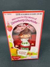 Vintage Kenner 1980 Strawberry Shortcake Doll Original 43020 NIP