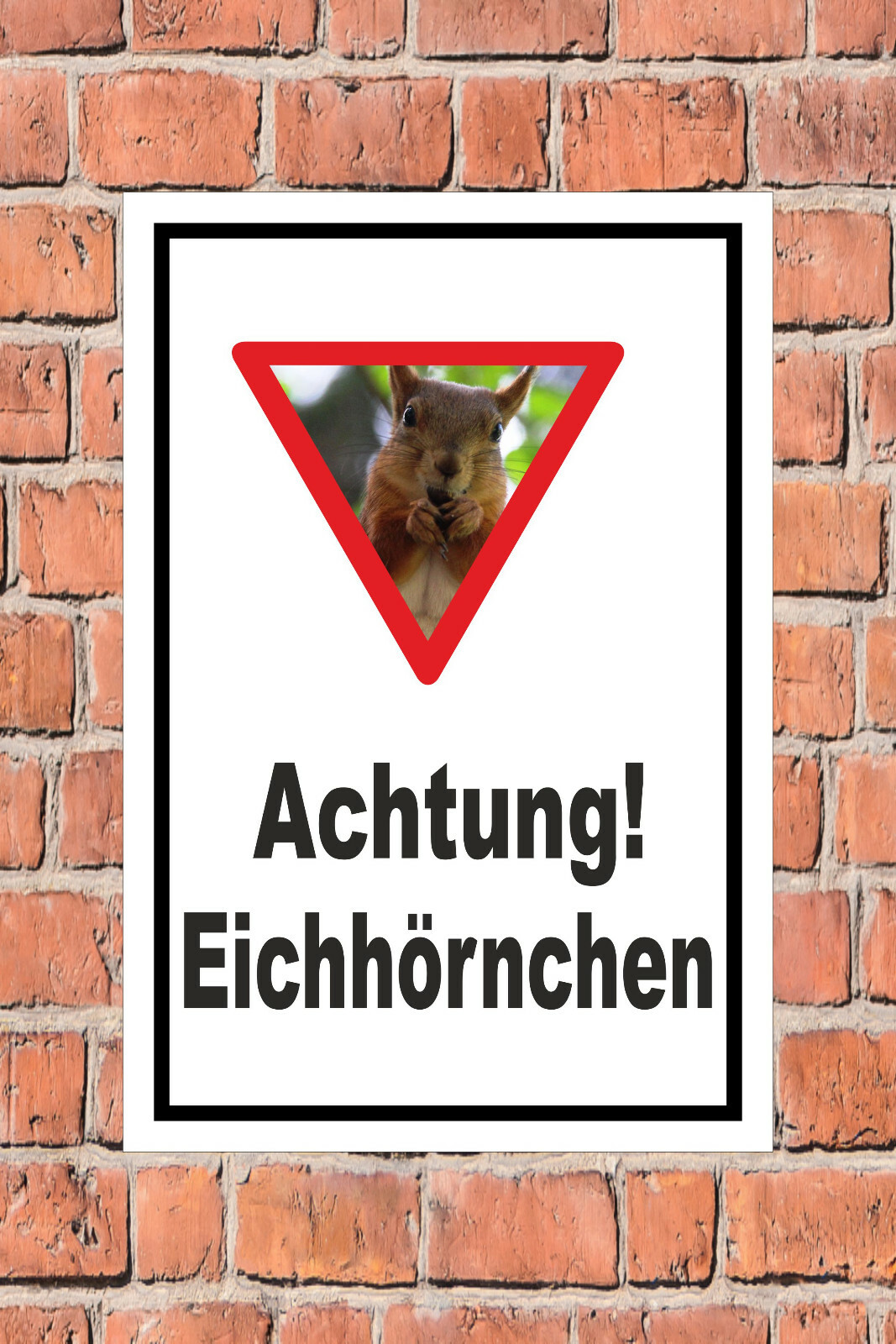 Bild 2 von 5