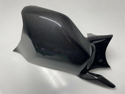 Ducati Panigale V4 - V4 S Carbon Schwingenschutz Cover Swingarm Part