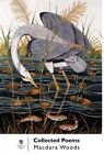 Collected Poems by Macdara Woods (Hardback, 2012)