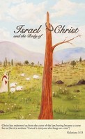 Don Hill | Israel And The Body Of Christ | Buch | Englisch (2011) | Gebunden