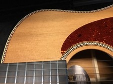 Seagull Godin Artist Mosaic Element Acoustic Guitar-Excellent Rarely Used