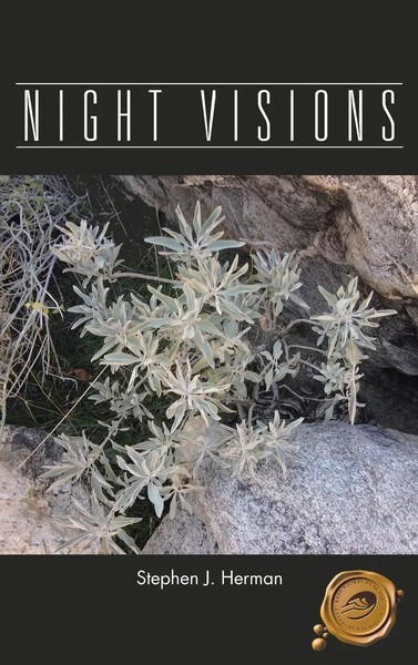 Stephen J. Herman | Night Visions | Buch | Englisch (2012) | Gebunden-image