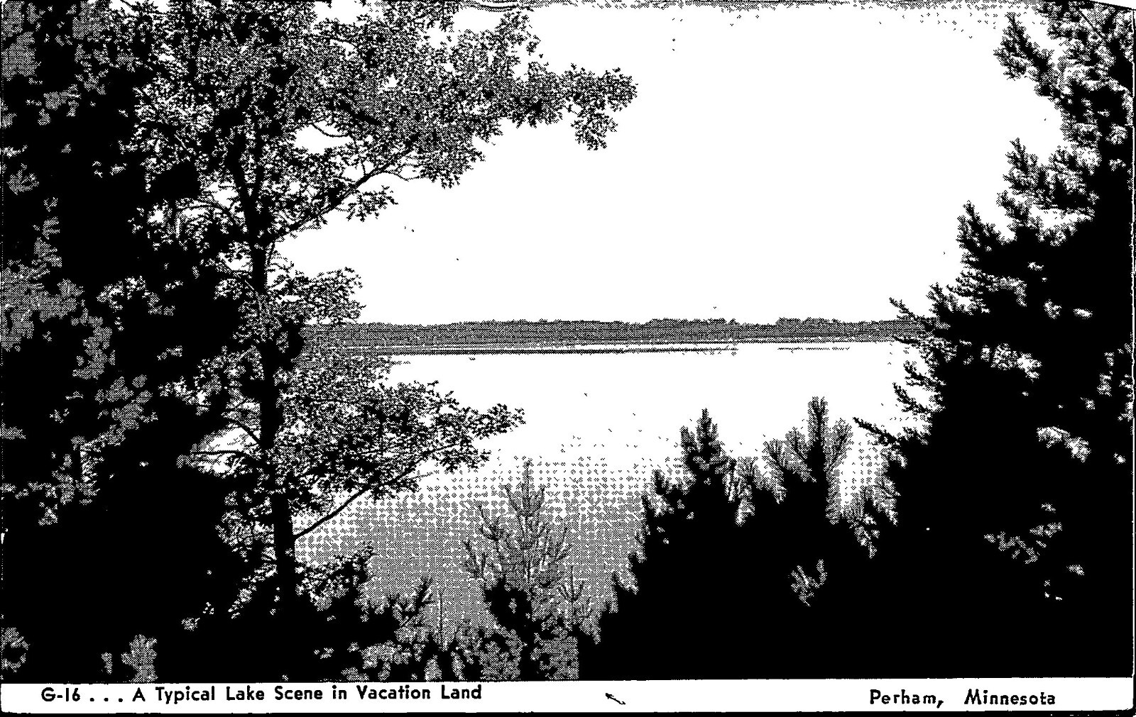 A Typical Lake Scene in Vacation Land Perham Minnesota Postcard PC99 eBay