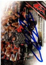 Chris Herrmann Arizona Diamondbacks 2016 Topps Update Signed Card