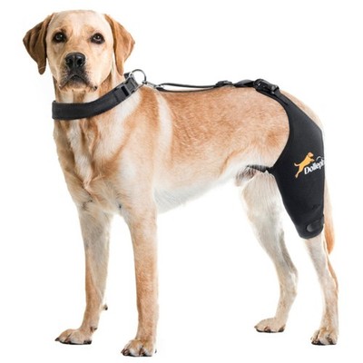 Dollephi Dog Knee Brace for Torn ACL Hind LeftLeg, Hot/Cold Compress for Patella