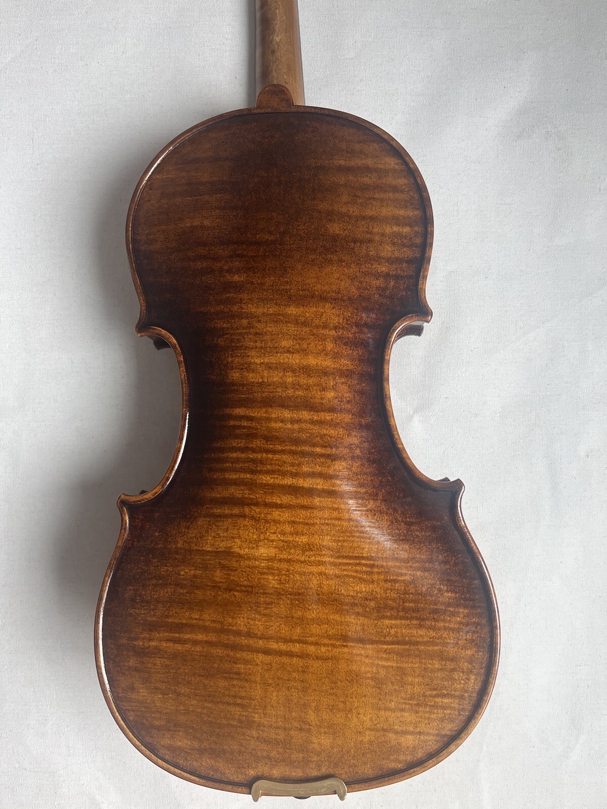 [sound] Full Set Violin One Back Giuseppe Fiorini Violin Excellent Condition 4/4 eBay