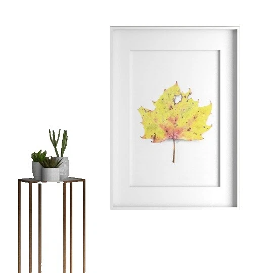 Original Signed Botanical Home Décor Posters & Prints