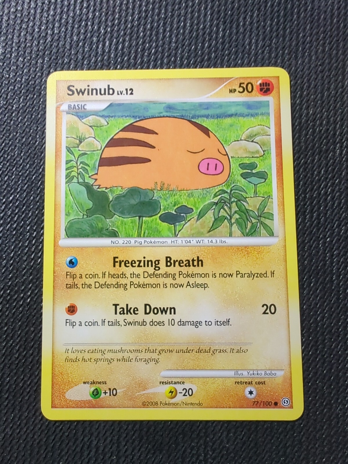 Pokémon TCG Swinub Stormfront 77/100 Regular Common - Yukiko Baba