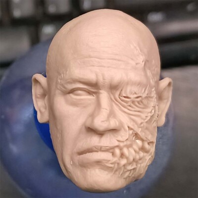 1:6 Richard Ng Zombie Head Sculpt Model For 12'' Male HT Action Figure Body Toys
