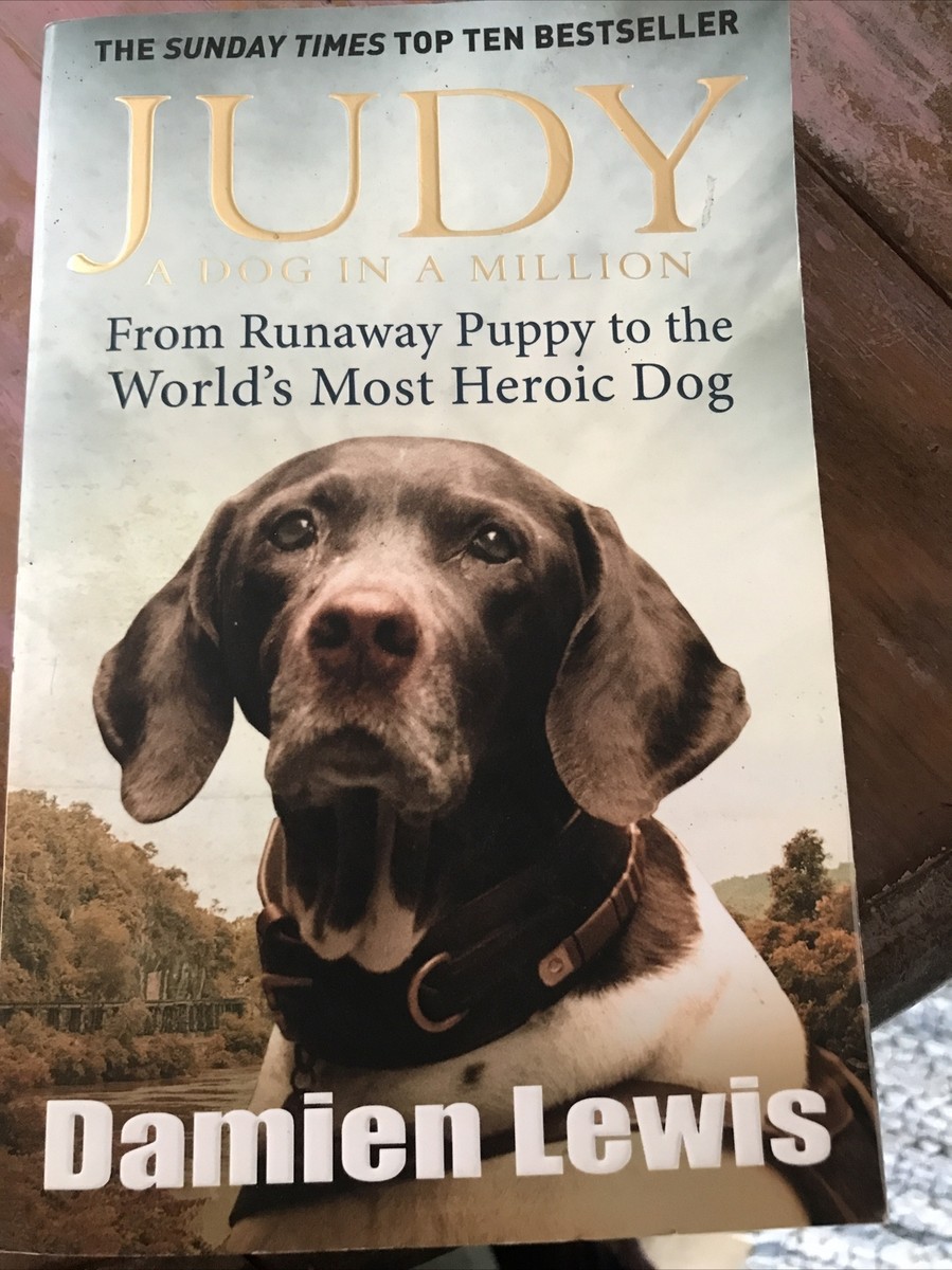 Czech Republic World Dog Show 2019 Judges Moscow March 26