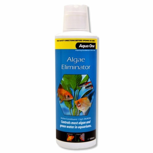 algae killer fish tank