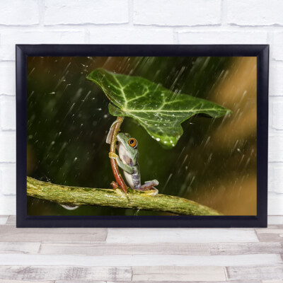Ohh No It's Raining Froschschirm Regen Tier Blatt Baum hält Wandkunstdruck