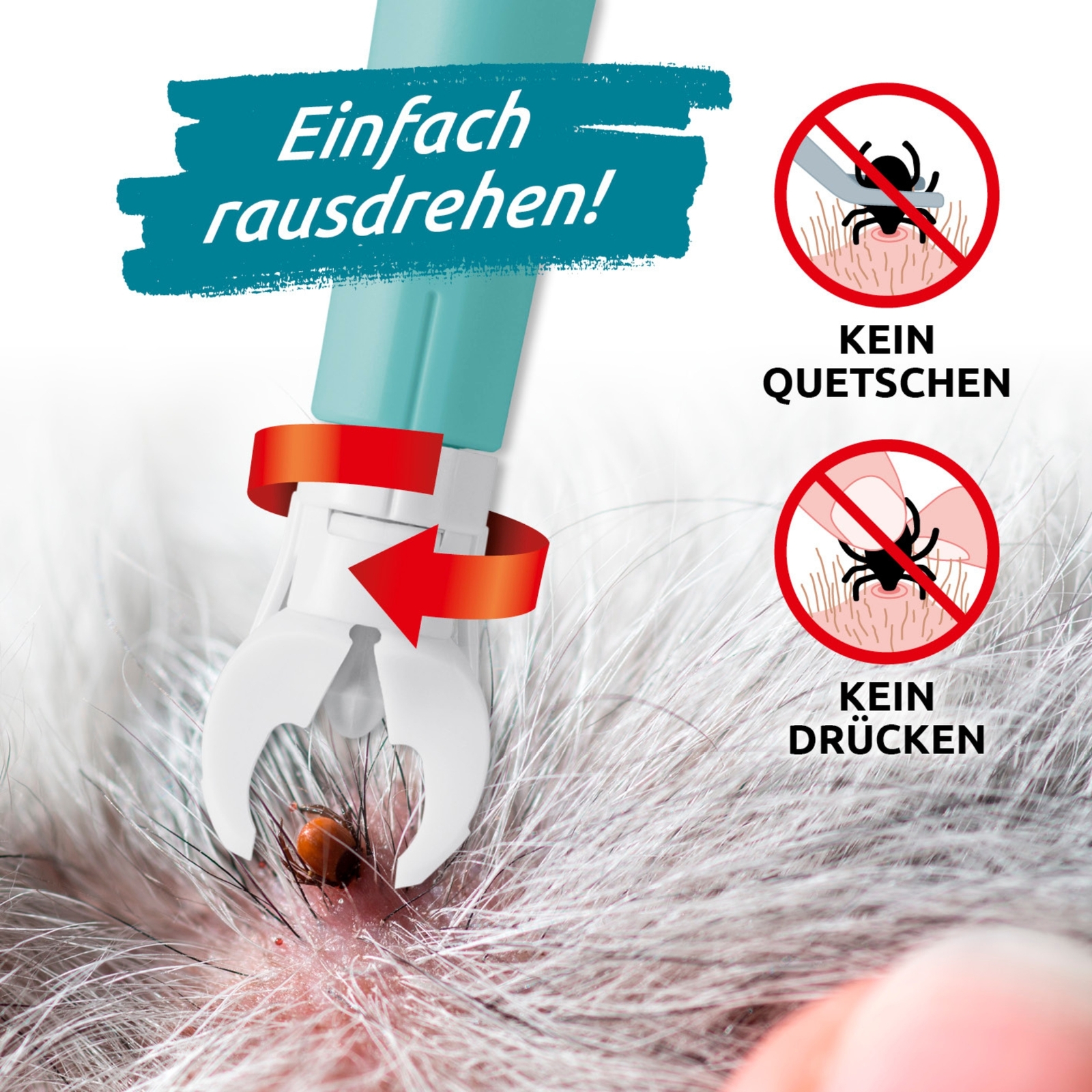 Bild 2 von 8