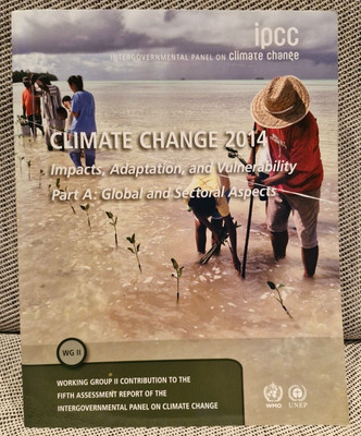 Klimawandel 2014   Auswirkungen Anpassung Vulnerabilität Teil A global & sektoral