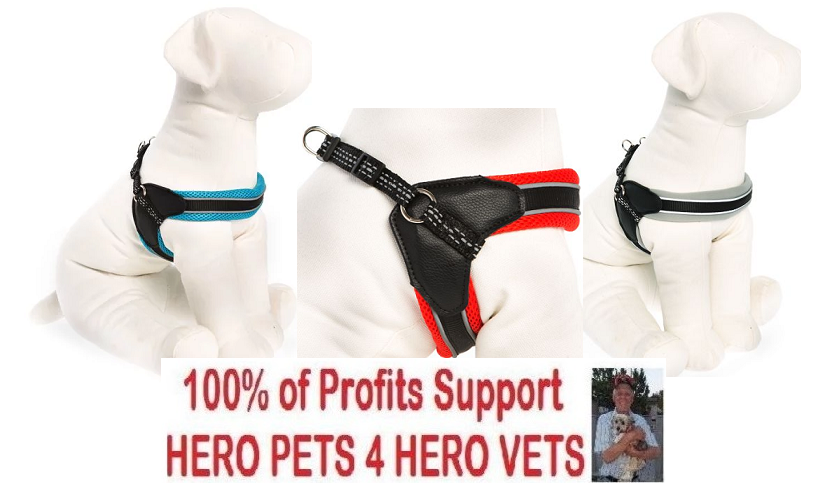 new fit harness top paw