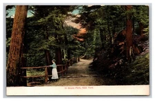 Bronx Park  New York City NY UDB Postcard Y21