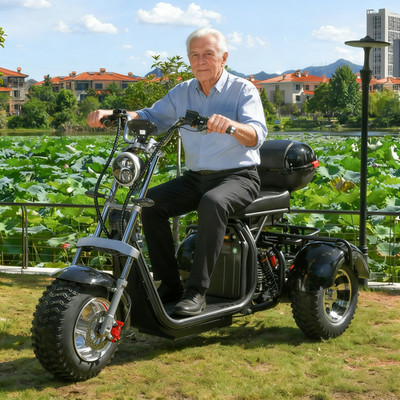 Belastung 250KG 18-Zoll-Fettreifen Citycoco Elektroroller 2000W Motor 45KM/H COC