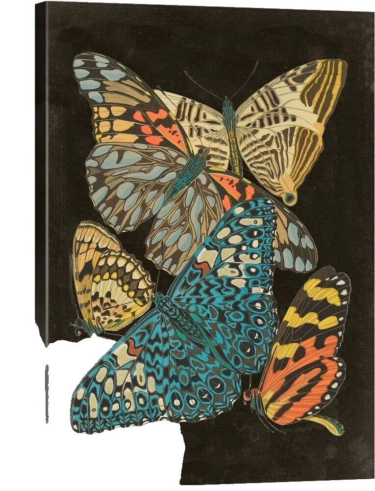 Reproduction Butterfly Home Décor Giclees & Iris Prints