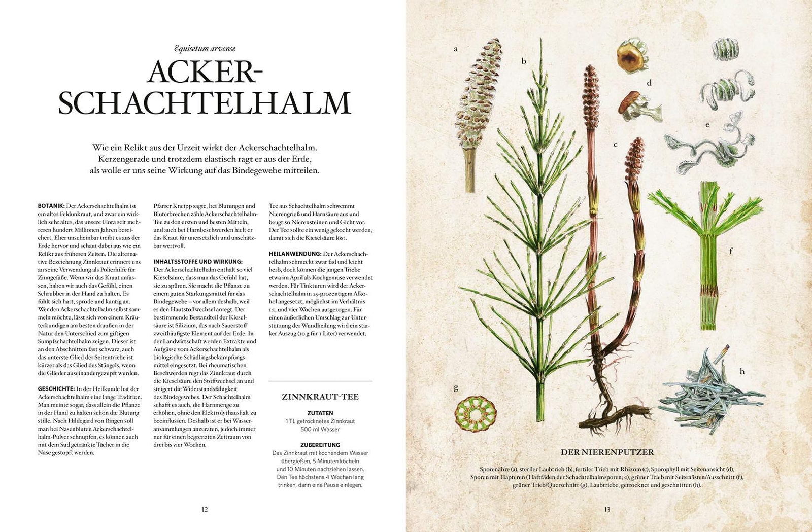 Thumbnail - Die Natur-apotheke | Karin Buchart (u. A.) | Buch | 196 S. | Deutsch |