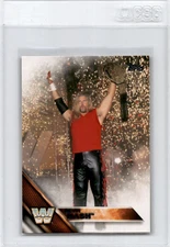 2016 Topps WWE Kevin Nash #72