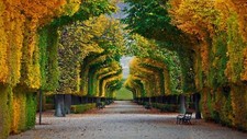 Landscape nature trees forest fall park bench leaves Custom Gaming Mat Desk