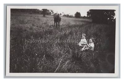 Great Snapshot of 2 Girls in the Meadow with Horse - Vintage Photo