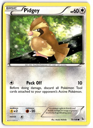 Pidgey 75/106 XY - Flashfire Common