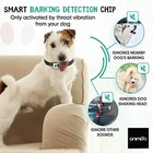 Anti Bark Collar for Dogs & Puppies - shock free & without spray - rechargeable