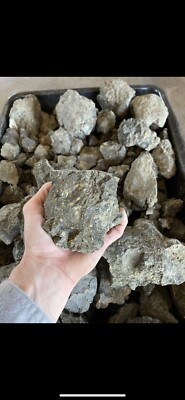 1/2 Lb UnSearched Lamproite Ore - The Crater Of Diamonds  - Guaranteed Diamond