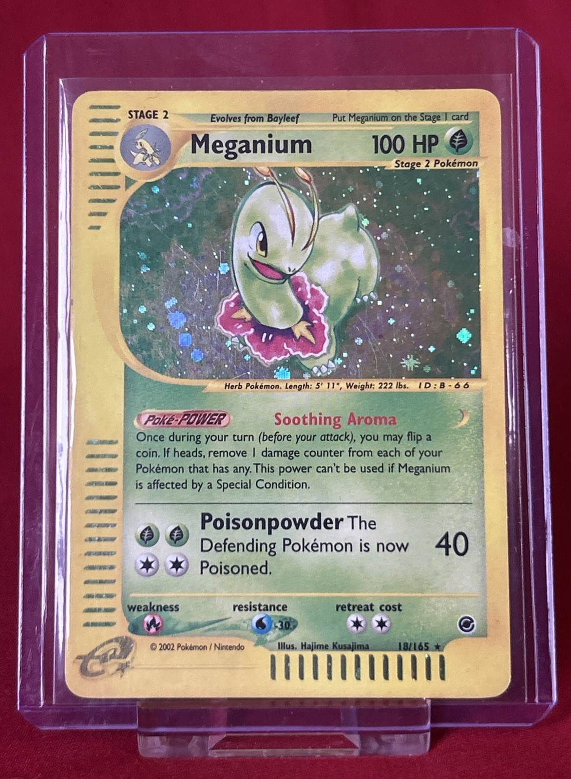 Meganium Expedition 18/165 Holo Shiny Card Excellent Condition Pokemon (T95)