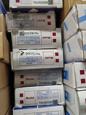 1PCS NEW TN16X30S Double-axis cylinder Brand #jg