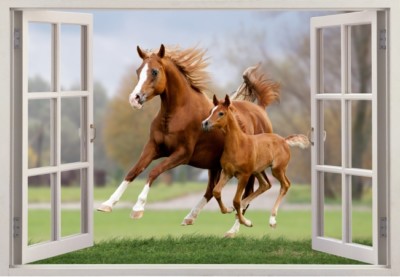 wandtattoo pferd fenster 3d sticker aufkleber pferde horse 130cm  XXL 12ar