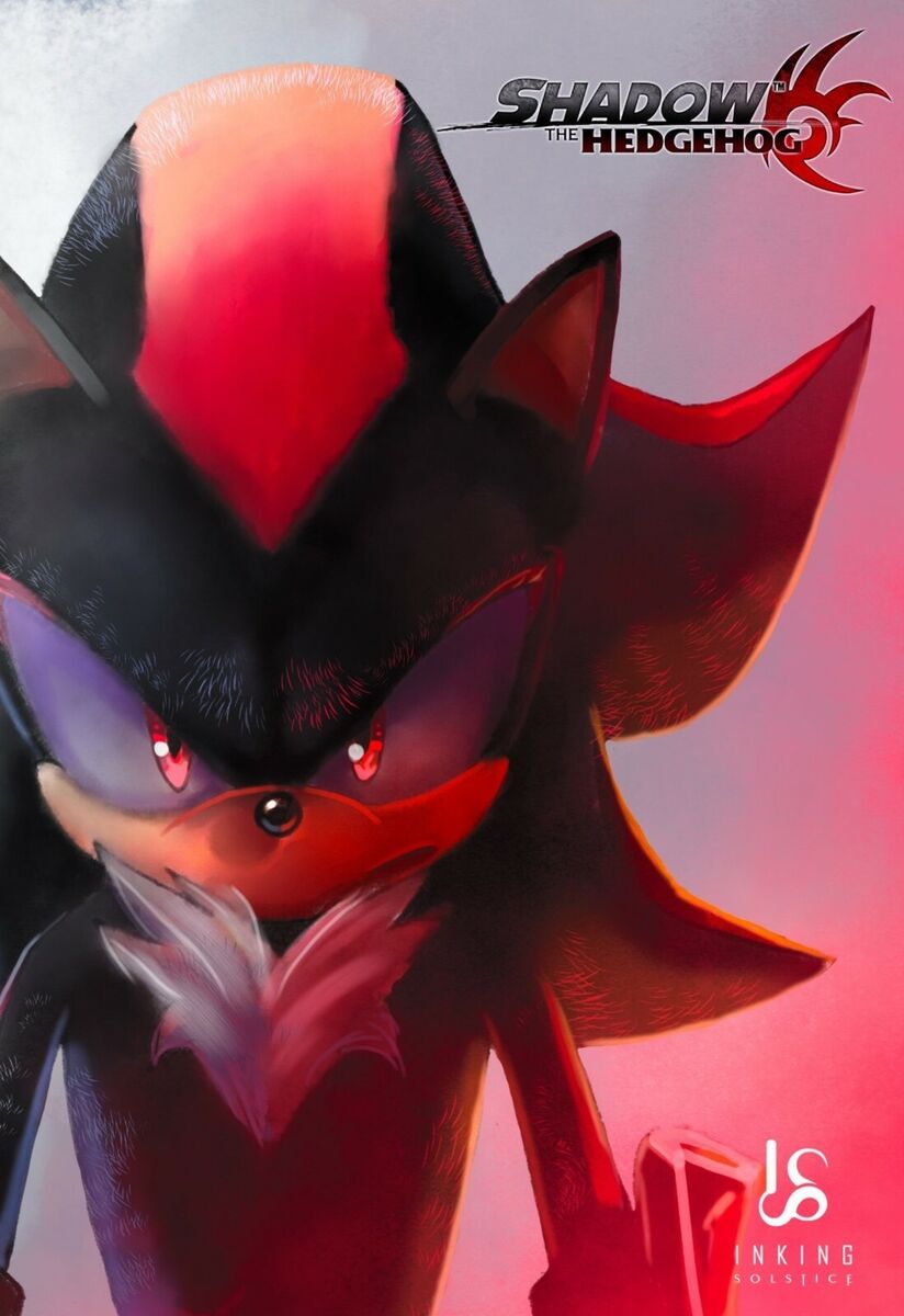 Shadow The Hedgehog Poster, Framed Art, Sonic, NEW, USA