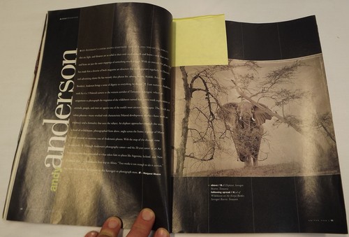 Signed Ltd. Ed. Photographic Print of an Elephant by Andy Anderson Picture Photo - 第 7/7 張圖片