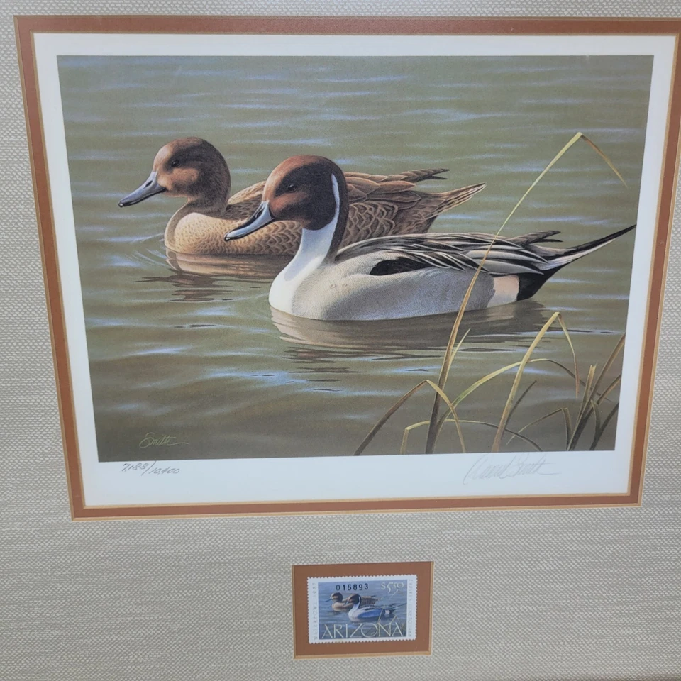 1987 Arizona Waterfowl Duck Stamp Print First of State Lim Edit Hand Signed - Image 3 of 4