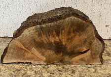 Ambrosia Maple Bowl Turning Blank 15''x 7.5''x 5.5'' Great For any Wood Project