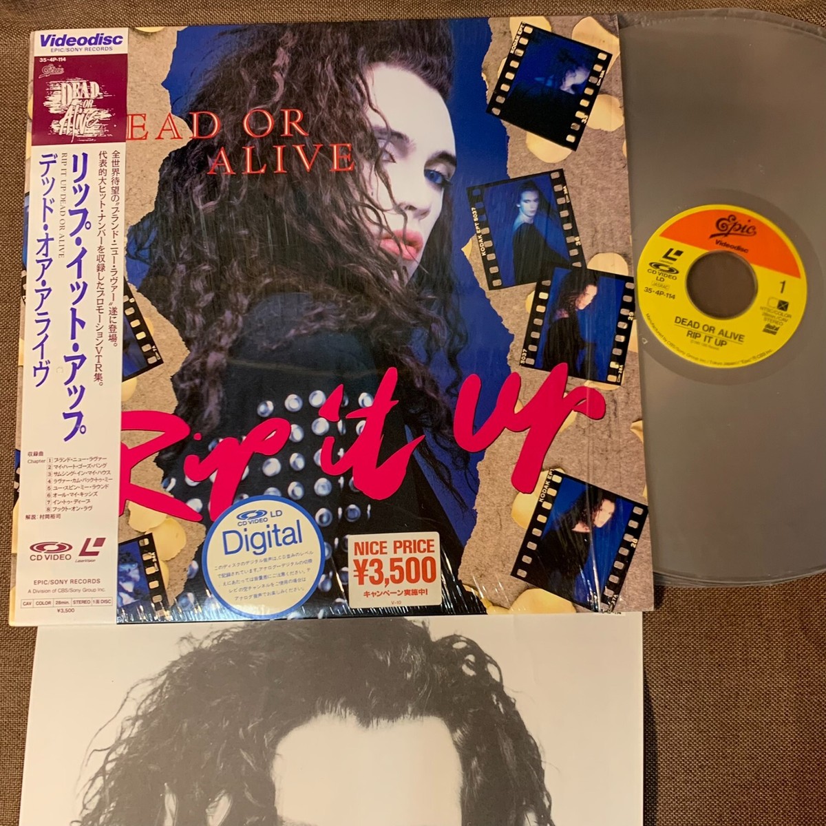 DEAD OR ALIVE Rip It Up JAPAN Laser Disc LD 35.4P-114 OBI + INSERT